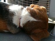 取れないよぉ～