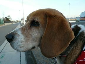 ママ、帰ってくる？