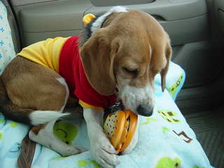 最速記録デタ～