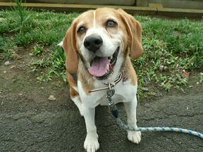 可愛い顔したら、だませるもんね～