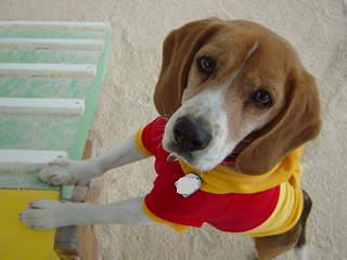 抱っこだよ、ねぇちゃん