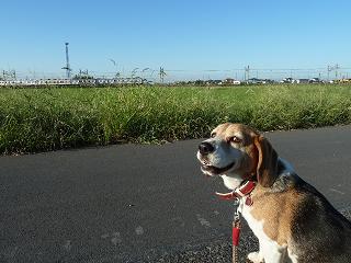 電車が来たよ。