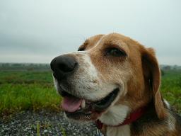 ねぇちゃんの心色