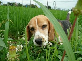 こんな所からこんにちは
