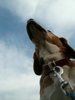 怒られ大臣、冬の空