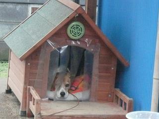 お天気悪いからつまんない