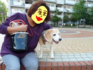 ちょびタンとお散歩♪