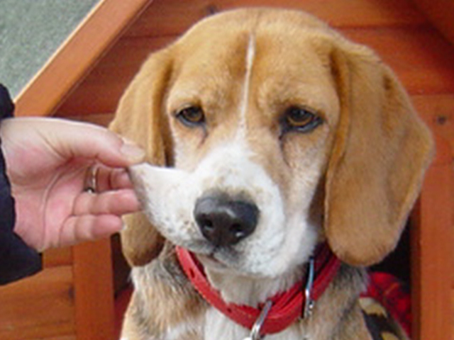 お口が伸びるぅ～