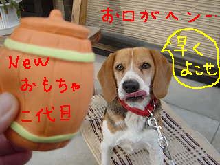 そのお口は！？