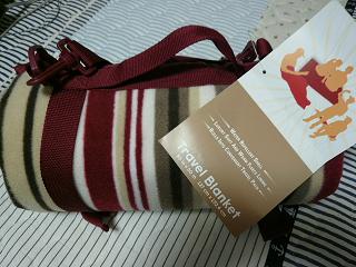 便利なレジャーシート