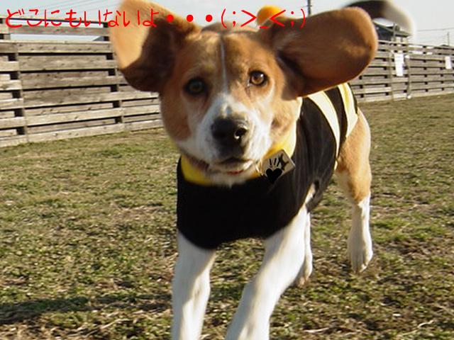 ママおらんよ！