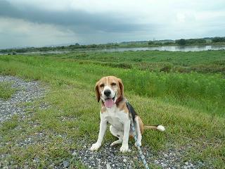 川がすごい事に・・・