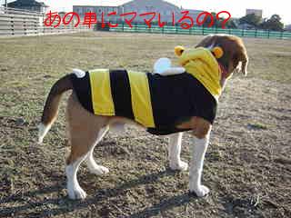 あの車にママいる？