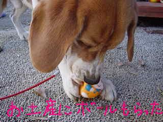 お土産の運命１