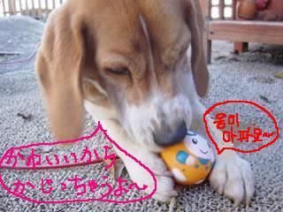 お土産の運命２