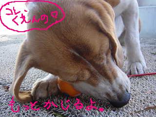 お土産の運命４