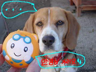 お土産の運命５