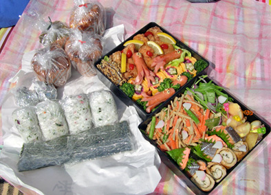 お花見弁当20060401