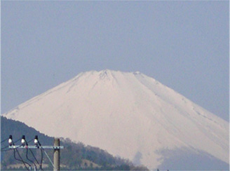 春の富士山