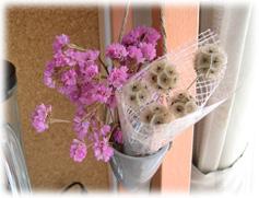 ドラムスティックの種01