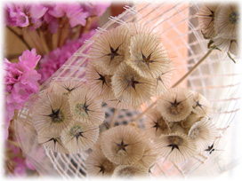 ドラムステイックの種02