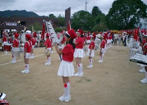 koteki-tai