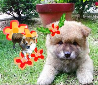 あけましておめでとう