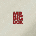 Mr.Big Box