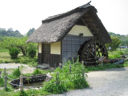 08.4.30巾着田～高麗 水車.jpg
