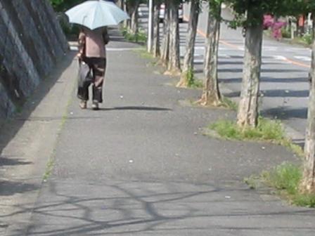 5.7巾着田～こま武蔵台～多峯主 023.jpg