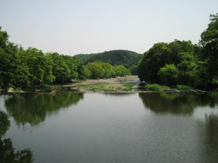 5.7巾着田～こま武蔵台～多峯主 016.jpg