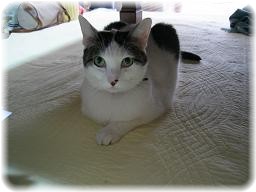 ももさんも参加