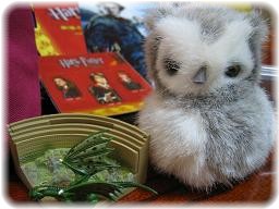 シュガー。さんグッズ２