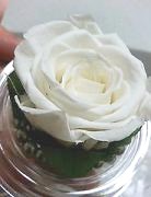 ブリザードフラワー