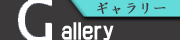 Gallery.jpg