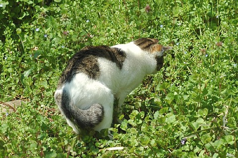 0427-5.jpg