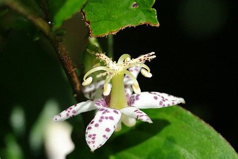 0906-6.jpg
