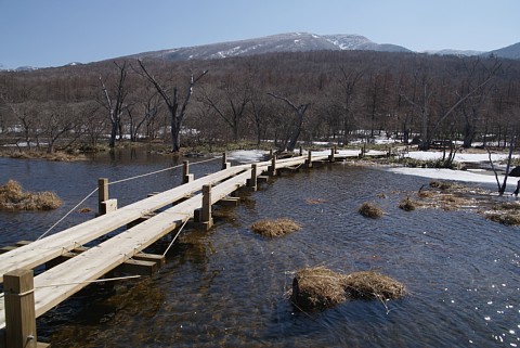 0424-4.jpg