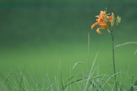 0709-6.jpg
