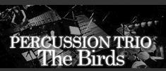 PERCUSSION TRIO The Birds