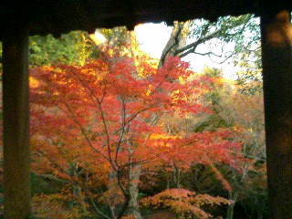 東福寺１