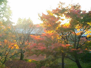 東福寺２