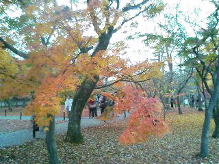 東福寺５