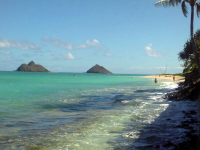081106view48.jpg