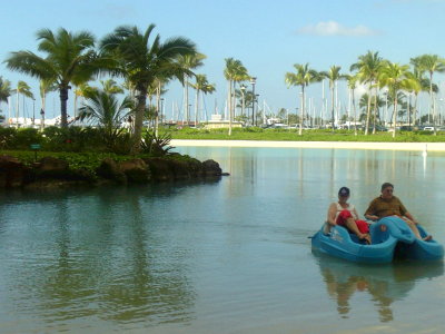 081105hilton6.jpg