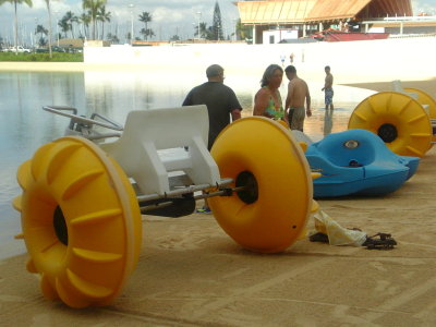 081105hilton4.jpg