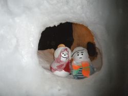 10706Hokkaido30.jpg