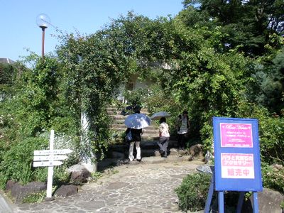 atami15.jpg