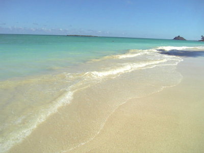 081106view24.jpg