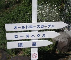 atami16.jpg